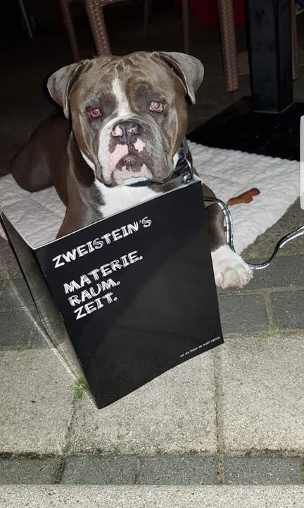 Zweisteins Sellin